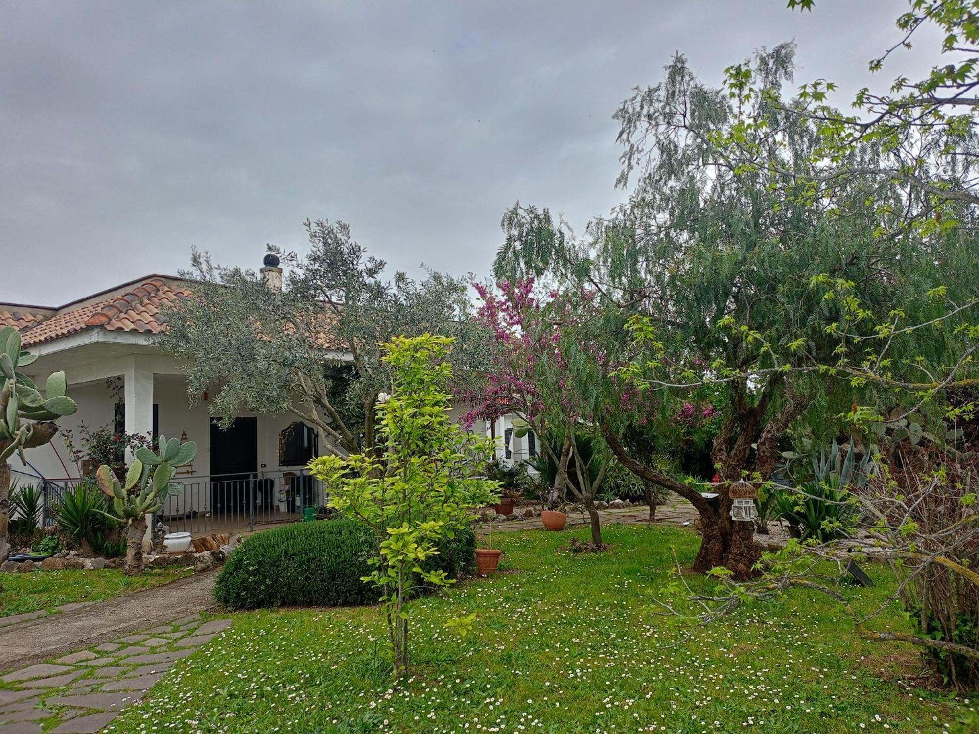 Hotel La Casa Di Fede Lanuvio Exterior foto